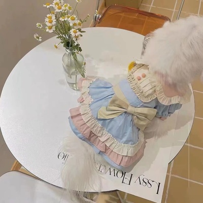 ins宠物宠物服饰春日游园