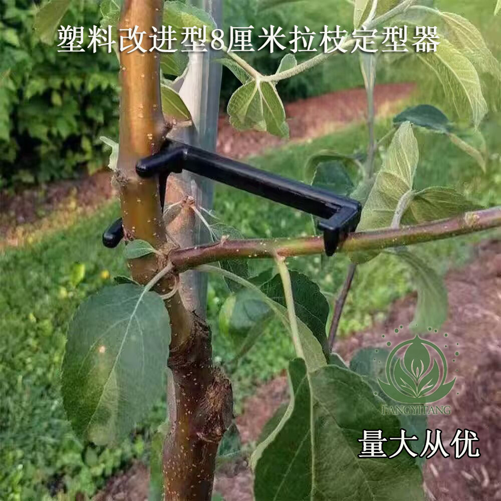 果树拉枝定型器塑料改进型拉枝开别枝器/拉枝定型器/