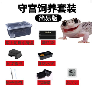 豹纹守宫饲养套装爬宠睫角守宫饲养箱雨林缸钙粉维生素蜥蜴加热垫
