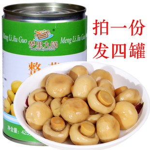 包邮 老式 4罐烹饪食材披萨材料 蔬菜罐头425g 出口蘑菇食用菌罐装