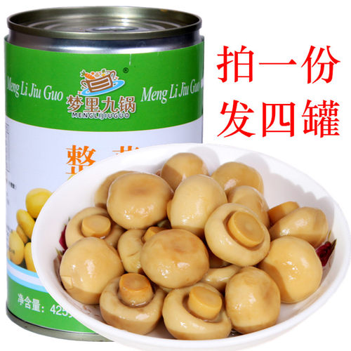 老式出口蘑菇食用菌罐装蔬菜罐头425克4罐烹饪食材披萨材料包邮