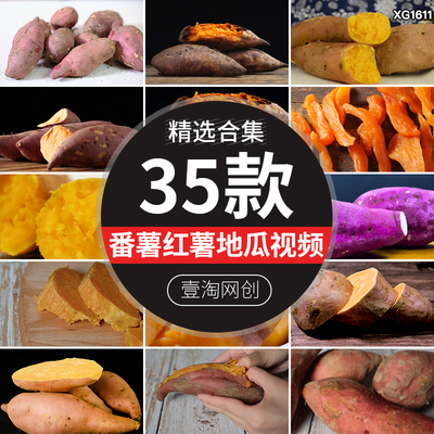 农业种植番薯地瓜挖掰开烤红薯蜜薯山芋红苕甘薯丰收视频剪辑素材