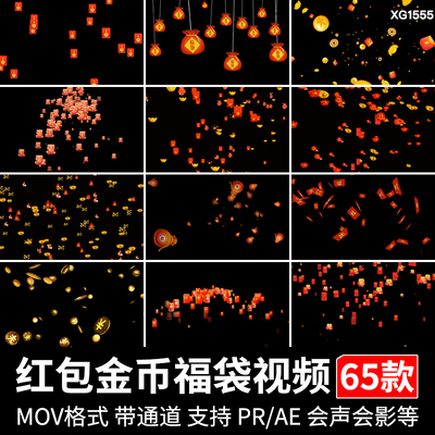 金币福袋元宝红包雨飘落散落下洒落掉落带透明通道ae/pr视频素材