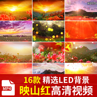 红歌民歌映山红花海花朵晚会舞台演出晚会LED大屏幕背景视频素材