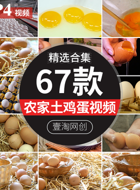 农家农村散养家养山野土鸡蛋笨鸡蛋草鸡蛋健康绿色短视频剪辑素材