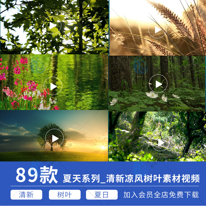 夏天小清新绿色植物树叶子树枝唯美微风抖音自然风景高清短视频