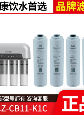 儿童盾滤芯YCZ-CB11-K1C EA05-400G反渗透膜前置后置RO反渗透正品
