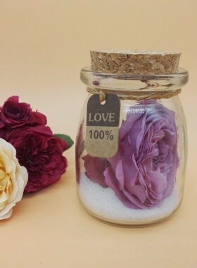 木塞布丁love漂流景观10个玻璃瓶