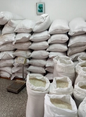 宁化发货优惠 新米农家5斤装宁化薏米福建小糯意仁 祛湿薏苡仁米