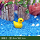 多肉植物装 饰小摆件微景观小饰品苔藓微景观小摆件小动物黄鸭子
