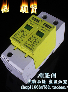 CGDZ 单相防雷器 CFD-D 2P 浪涌保护器 10-20KA 385V