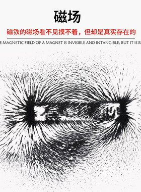 磁粉磁沙铁粉教学磁力线演示