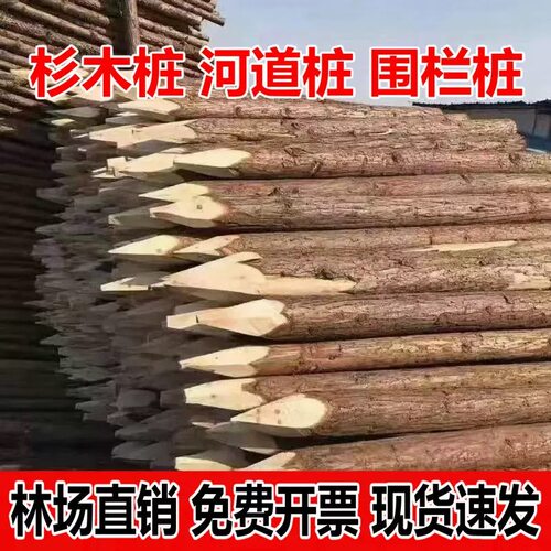 尖头木桩打桩立柱户外河道工程测量定点围栏原木树木支撑杆杉木桩