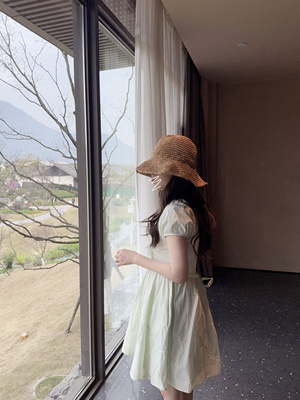 PINKMOON/苹果绿蝴蝶结刺绣短袖连衣裙