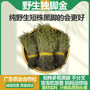 农家纯野生独脚金小孩疳积草矮脚新货正品中药材黄花草干货煲汤