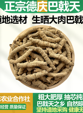 德庆生晒大肉巴戟天的功效中药材正品泡水煲汤巴吉天鸡肠风鸡眼藤