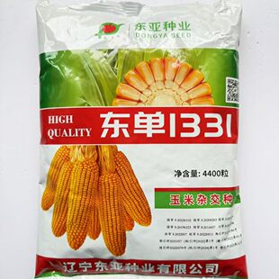 东单1331国审高产玉米种子大棒抗旱耐涝抗盐碱红轴深马齿原装正品