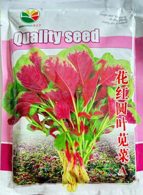 农之子花红圆叶红苋菜种子早熟叶圆阔大肉厚尾稍尖叶面紫红根红色