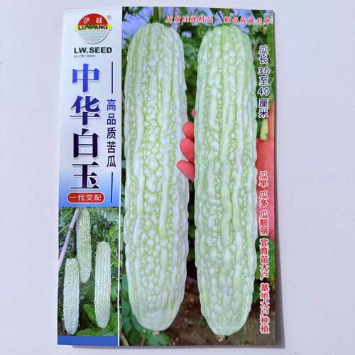 蔬菜瓜果苦瓜种子大全白皮苦瓜种籽一代杂交苦瓜籽中华白玉苦瓜种