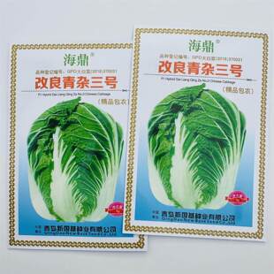 海鼎改良青杂三号大白菜种子杂交抗病叠抱冬储大白菜种籽秋冬播种