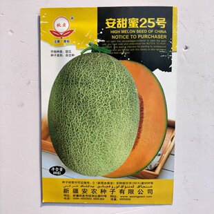 安甜蜜25号哈密瓜种子中熟高糖甜瓜网纹桔红肉香瓜种籽水果瓜种孑