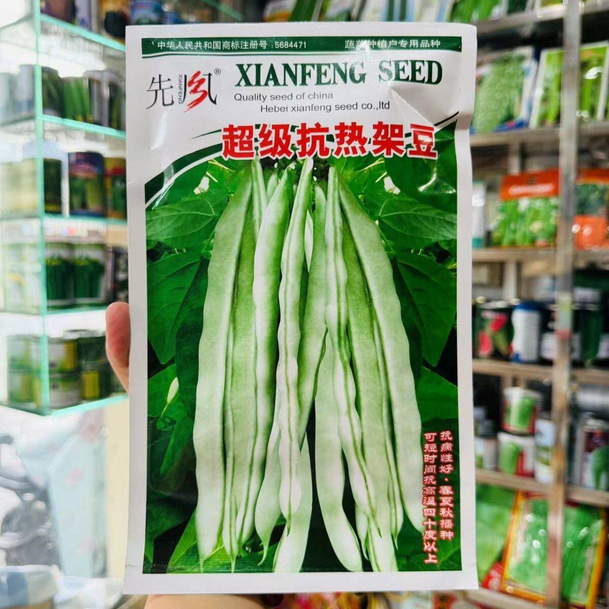 抗热九粒白架豆种子白不老无筋架豆种籽高产四季豆春秋季蔬菜种子图片