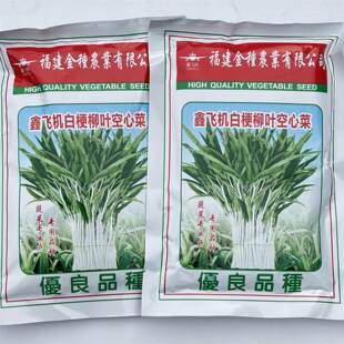 鑫飞机白梗柳叶空心菜种子脆嫩白杆通心菜蕹菜蔬菜种子春夏秋播种
