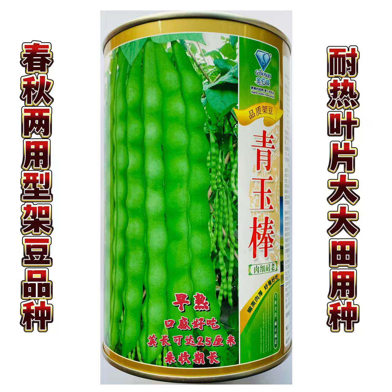 青玉棒青荚架豆种子九粒青棒肉豆角种籽四季豆芸豆春夏秋季蔬菜孑