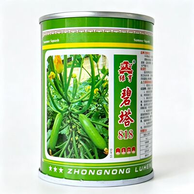 碧塔818西葫芦种子中早熟翠绿油亮西葫芦种子耐低温冬春季温棚种