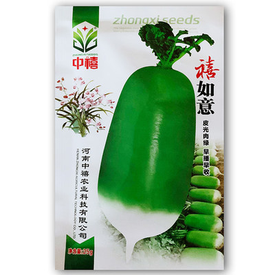 791播种蔬菜种子容易易营养成活萝卜种子丰富四季播种如意