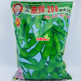京鲜208毛豆种子6号早熟鲜食大荚青毛豆籽大青豆种大豆种籽菜豆