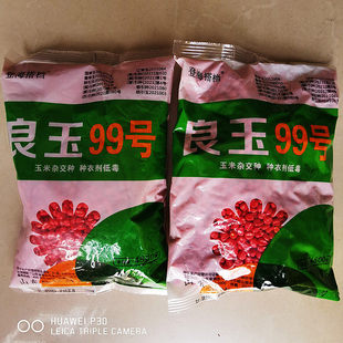 国审玉米种子良玉99饲料玉米高产抗倒伏抗旱早熟杂交种玉米种籽