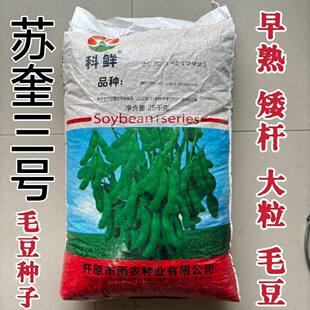 苏奎3号毛豆种子292毛豆早熟大荚鲜嫩脆甜粒大矮杆高产青豆种籽子
