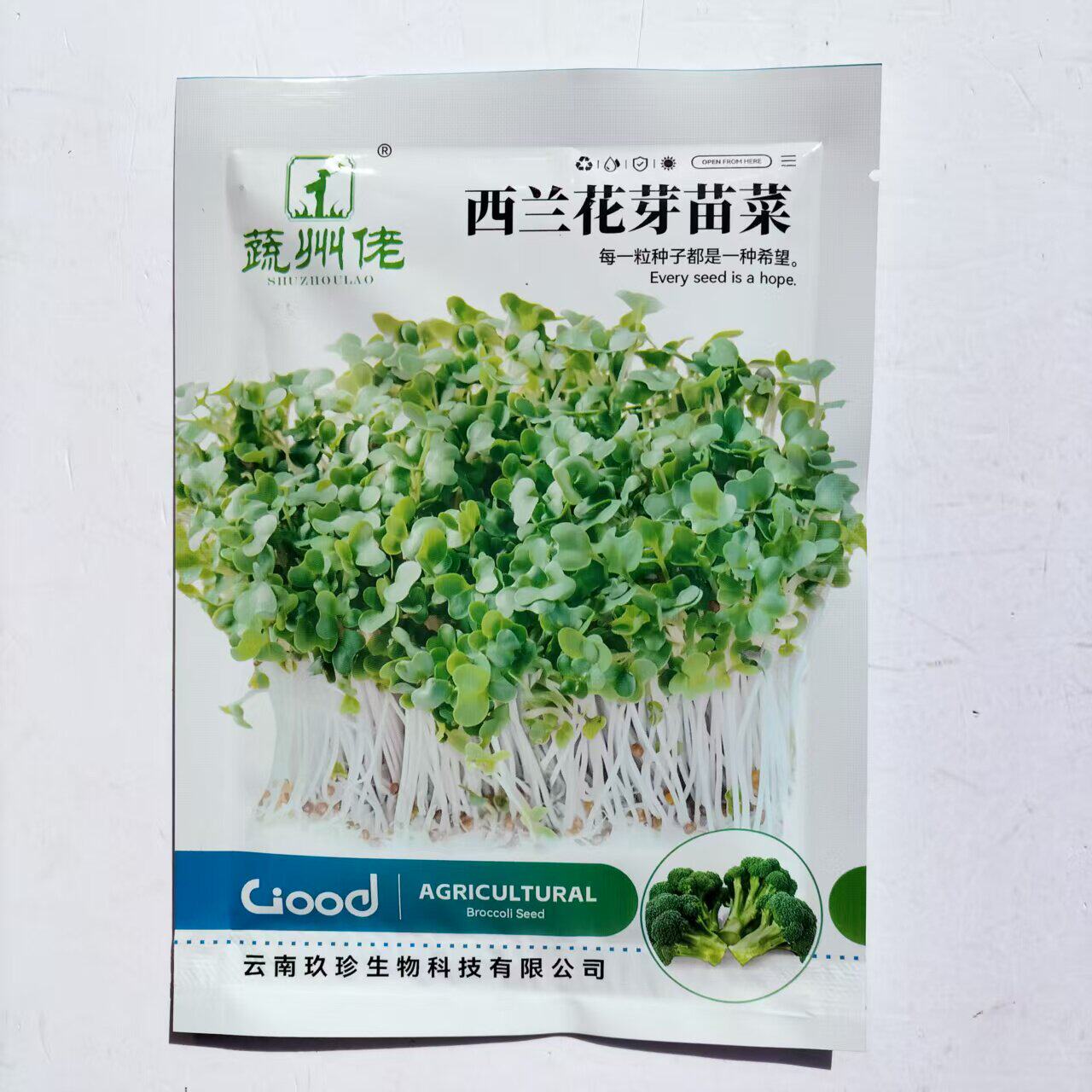 水培西兰花芽苗菜种子四季种植水蔬菜种子/种苗