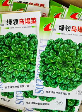 绿领乌塌菜种子20克保纯度小八叶猜种子耐低温秋季冬季蔬菜籽
