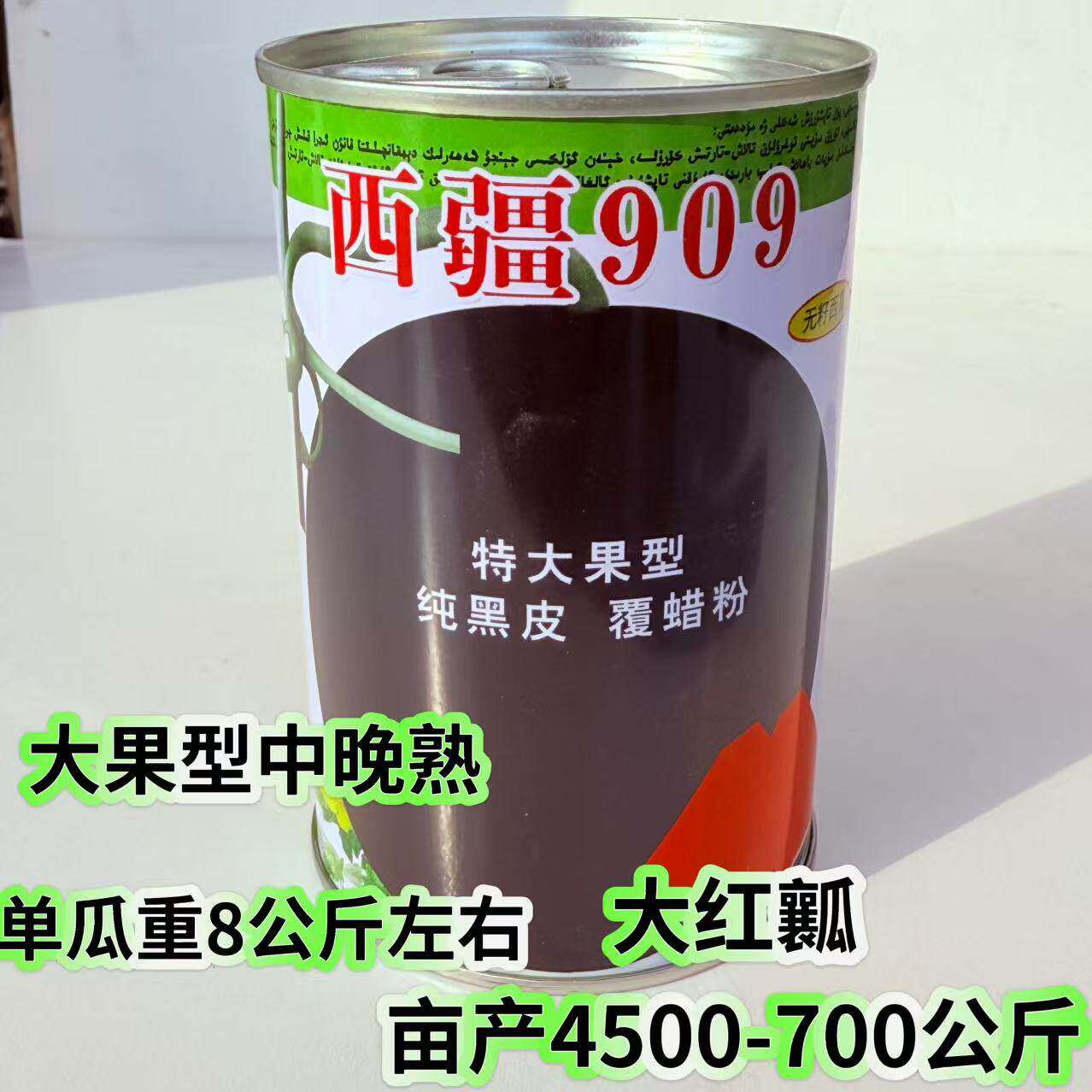 西疆909特大黑皮红瓤无籽中早晚熟西瓜种子耐病抗逆性强黑皮无籽