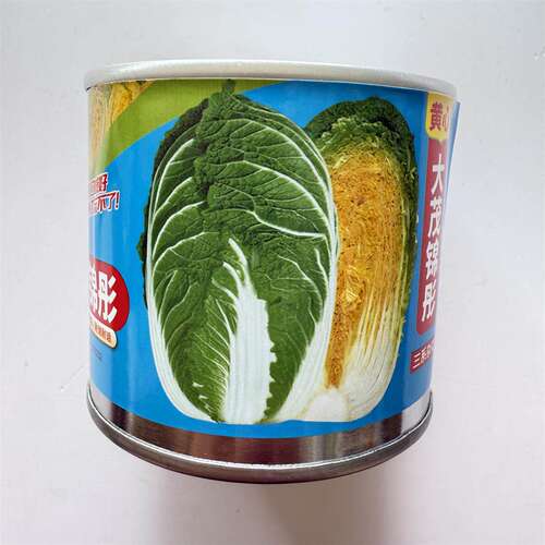 黄芯大茂锦彤大白菜种子高产抗病耐热耐寒春秋播农家庭院蔬菜种子