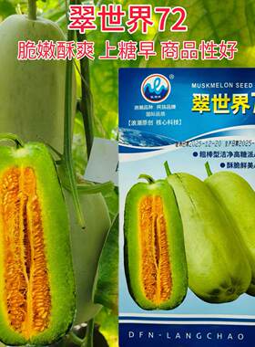 浪潮甜瓜种子翠世界72粗棒型洁净酥脆鲜美高糖绿肉橙腔博洋72型