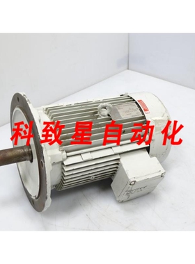 工业配件DFV132S4/TF MOTOR