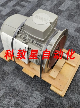 工业配件1LE1001-1CA03-4FA4 INNOMOTICS GP电机型号1AV2130A低压