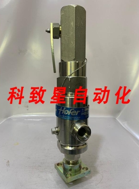 工业配件HOFER/安全阀/674/270BAR/DN 6/14