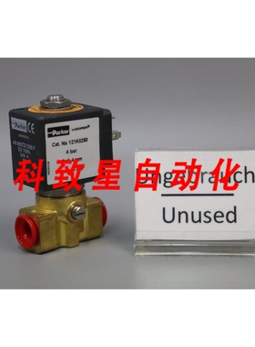 工业配件121K0250 G1319B-481865C2 D5B F电磁阀9W 24V 4BAR 4MM