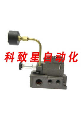 工业配件081RS100J000000 0-160PSI