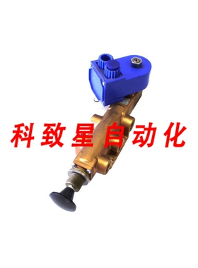 工业配件VERSA VIA 4522-138-XIFA-D024 VALVE+P002-02-XIFA-D024