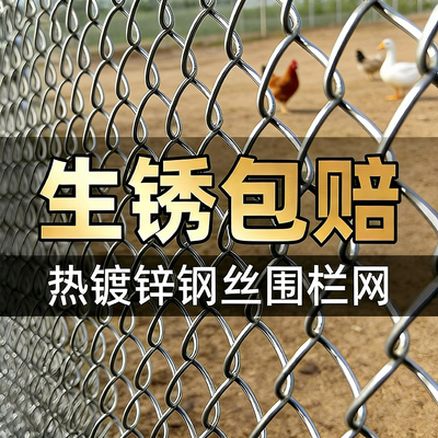 NO.2源头厂家热镀锌钢丝网围栏网