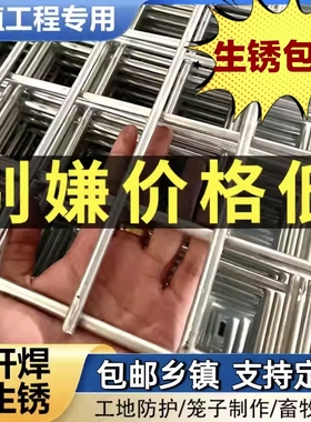 镀锌铁丝网片围栏小孔加粗养殖网狗笼养殖建筑钢筋长孔网格网钢丝