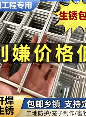 量大从优真源头厂家镀锌网格网片