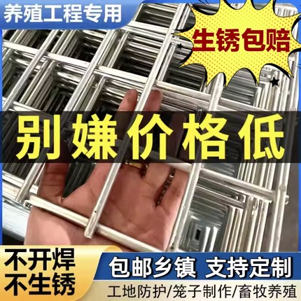 镀锌铁丝网片围栏小孔加粗养殖网狗笼养殖建筑钢筋长孔网格网钢丝