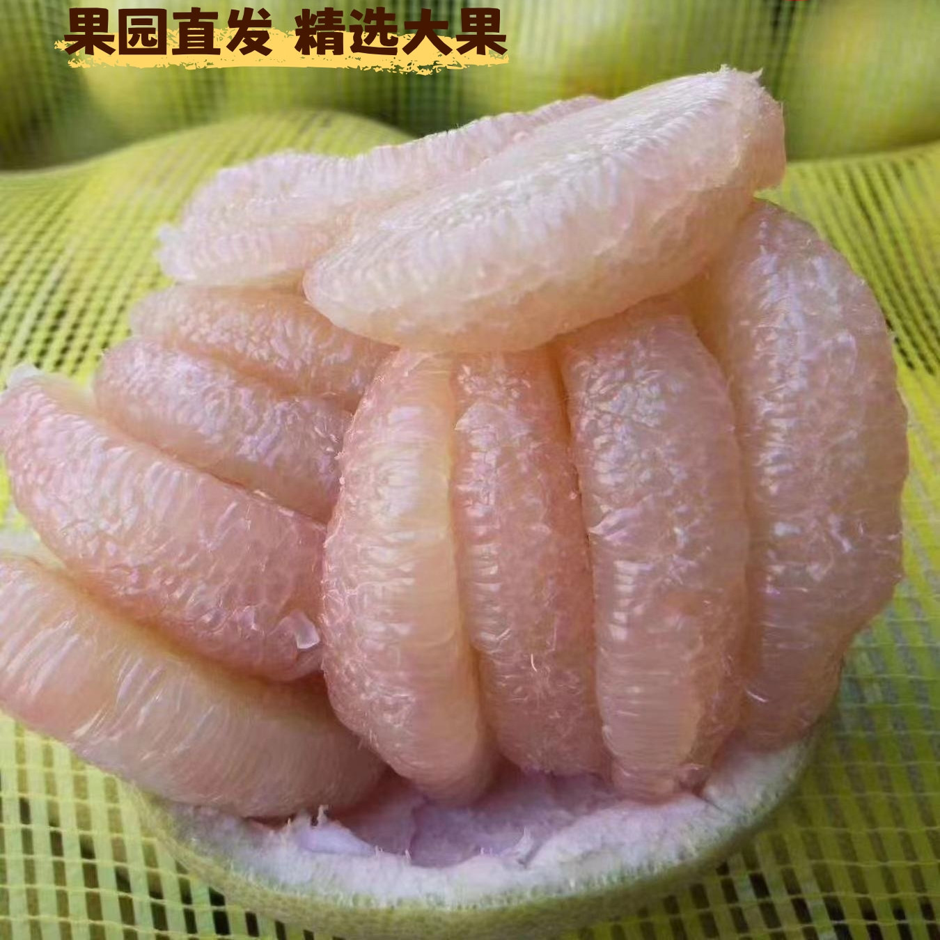 正宗度尾老树文旦柚孕妇应季时令柚子