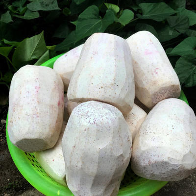 广西 荔浦 芋头旗舰店削皮 芋 新鲜现挖芋艿  真空 芋头块 去皮